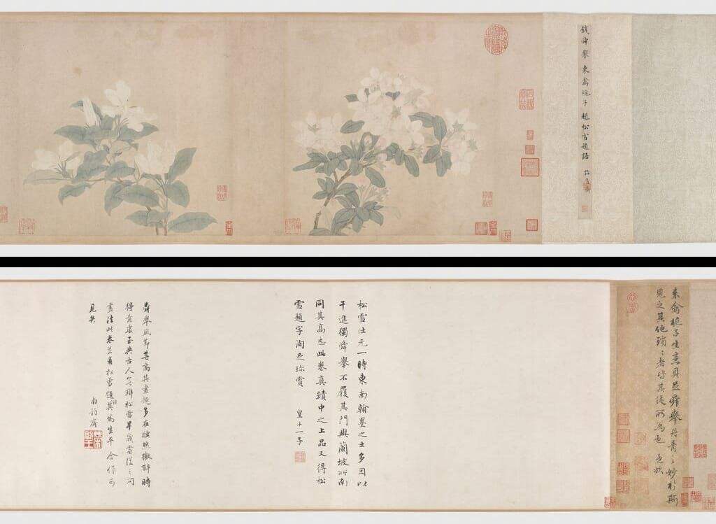 来禽栀子图缩略图