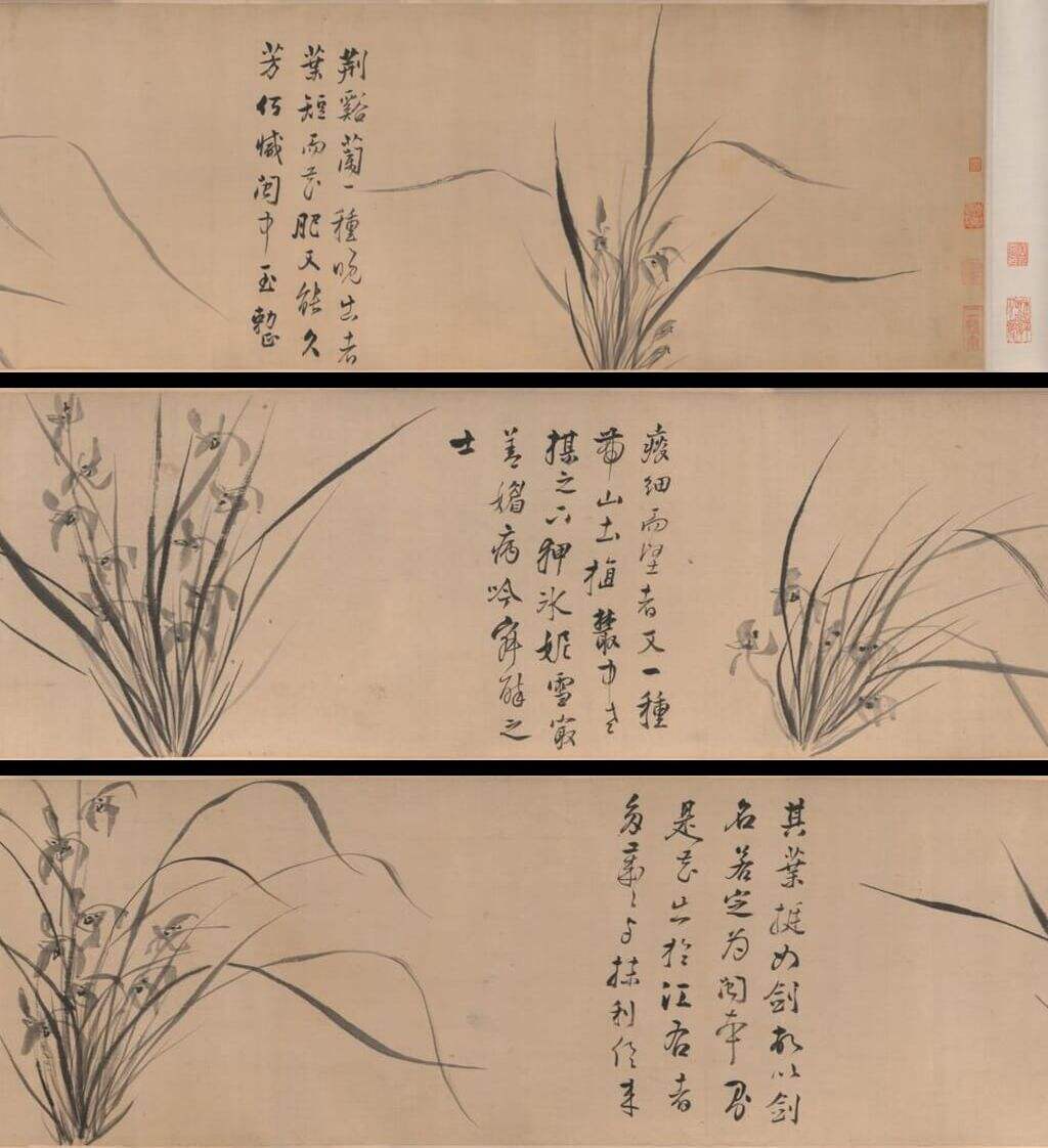 兰花图缩略图