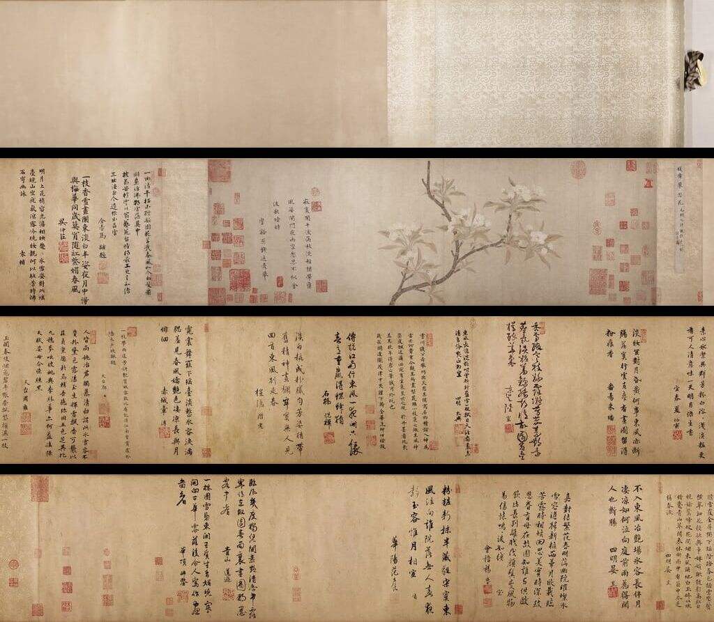 梨花图缩略图
