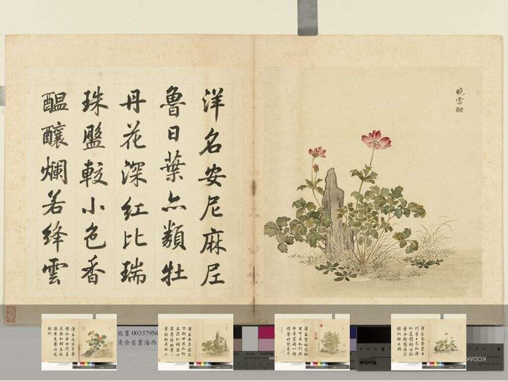 海西集卉册缩略图
