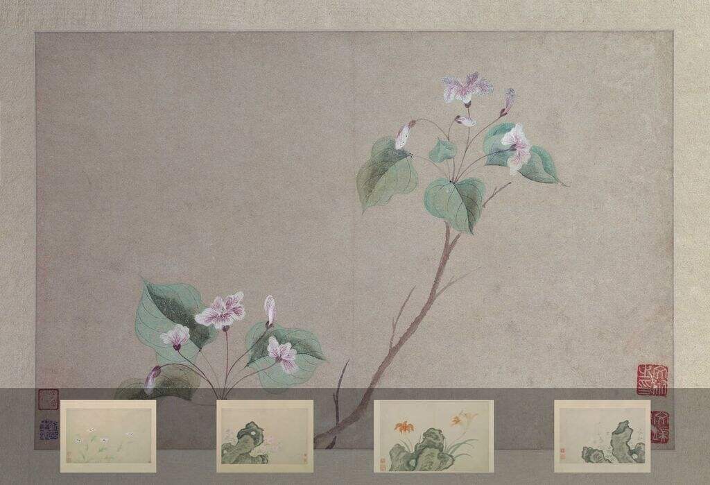 花卉图册缩略图