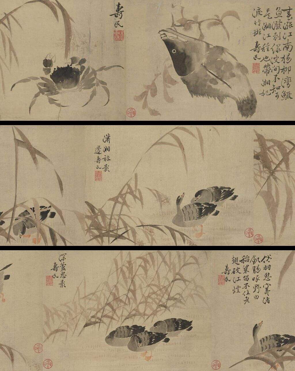 鱼蟹花草图册缩略图