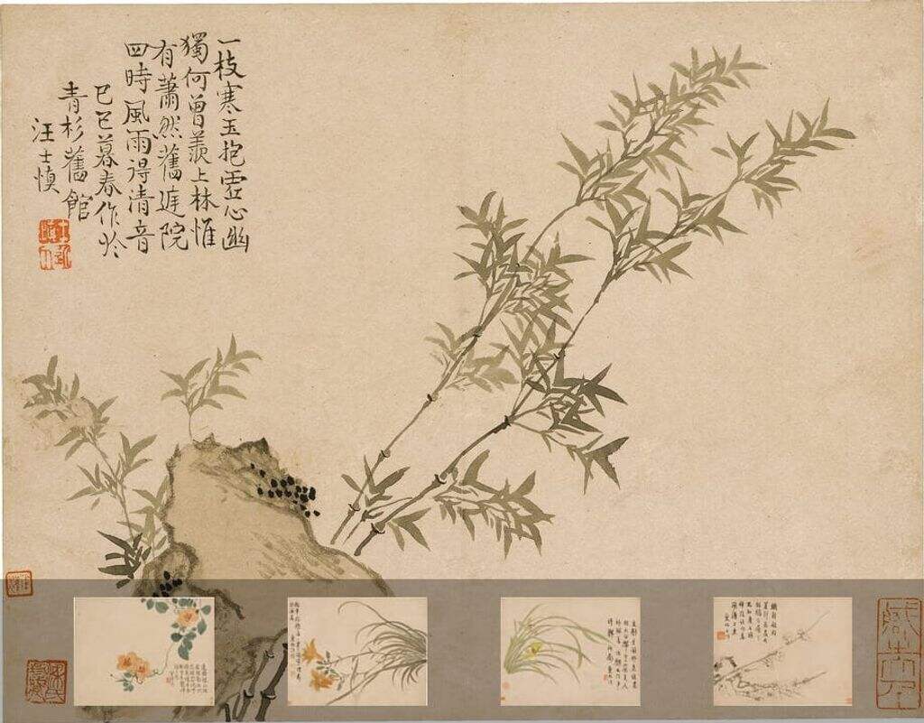 花卉图册缩略图