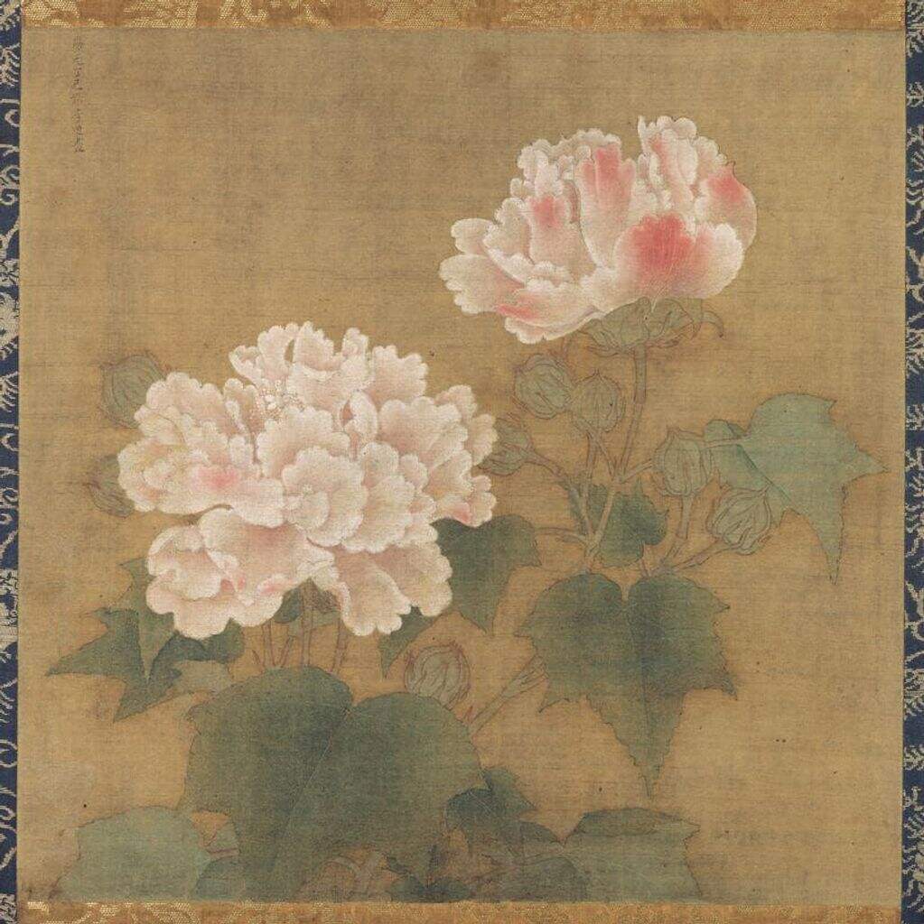 红白芙蓉图缩略图