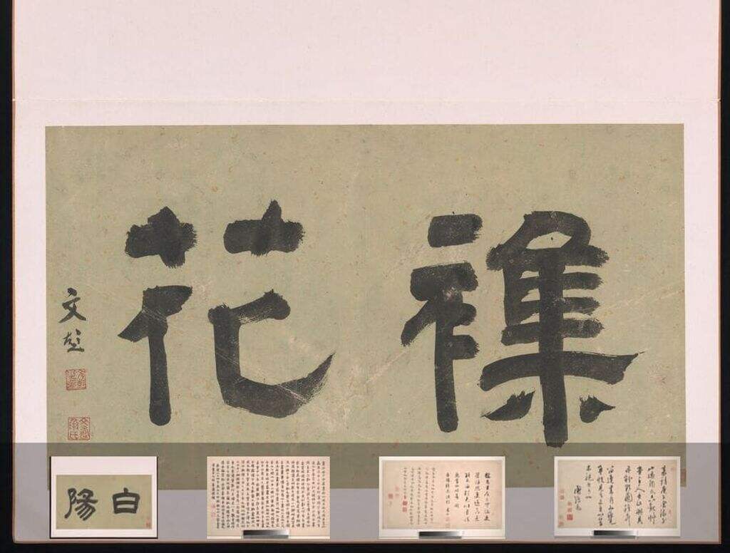花卉图册缩略图