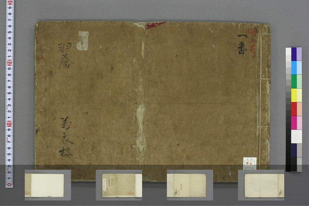 写真群鸟缩略图