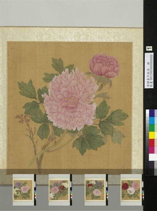 牡丹册 牡丹（一）缩略图