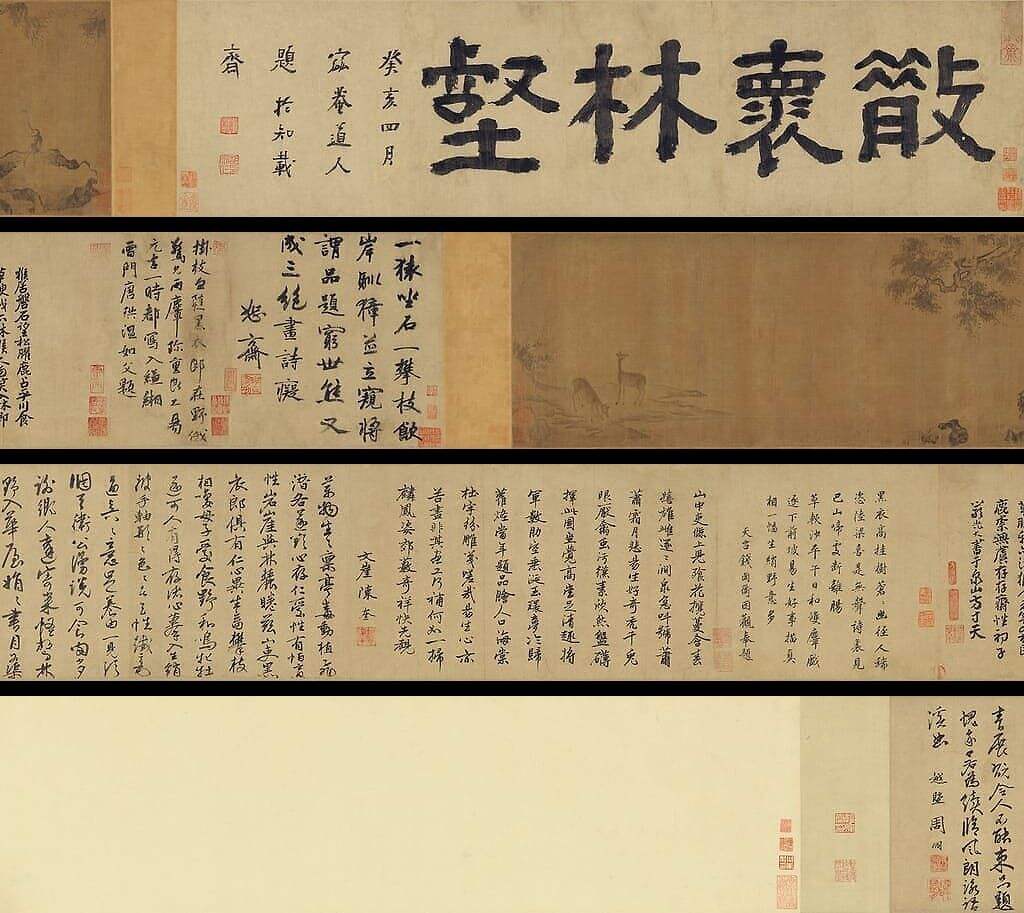 山猿野麞图缩略图