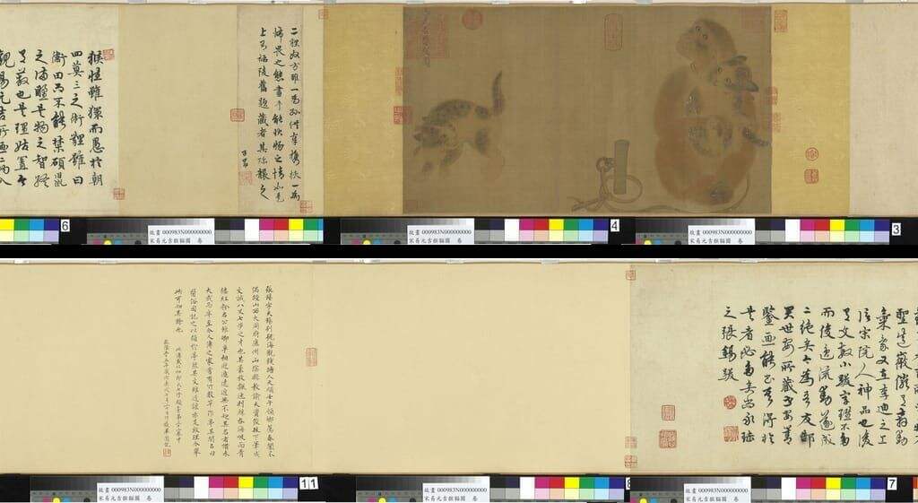 猴猫图缩略图
