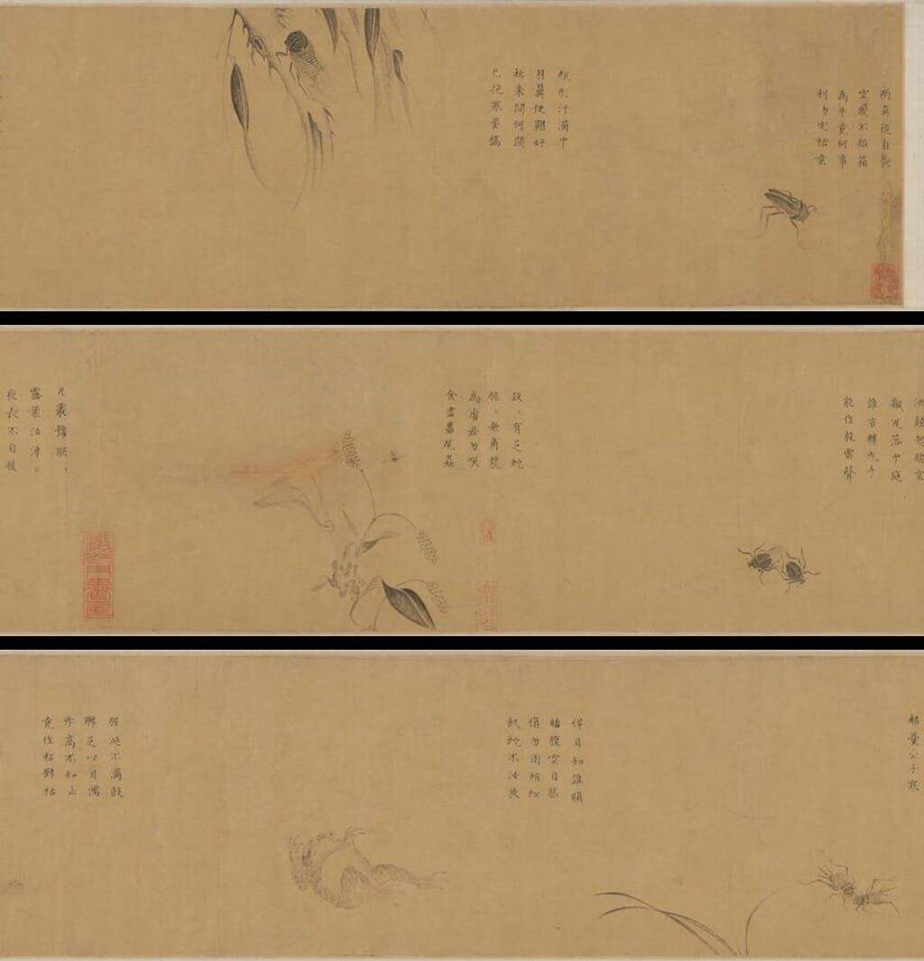 草虫卷缩略图
