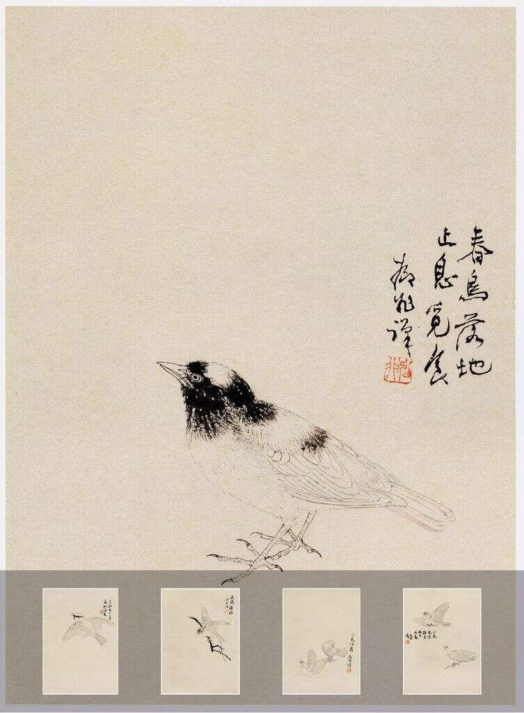 白描禽鸟课徒稿缩略图