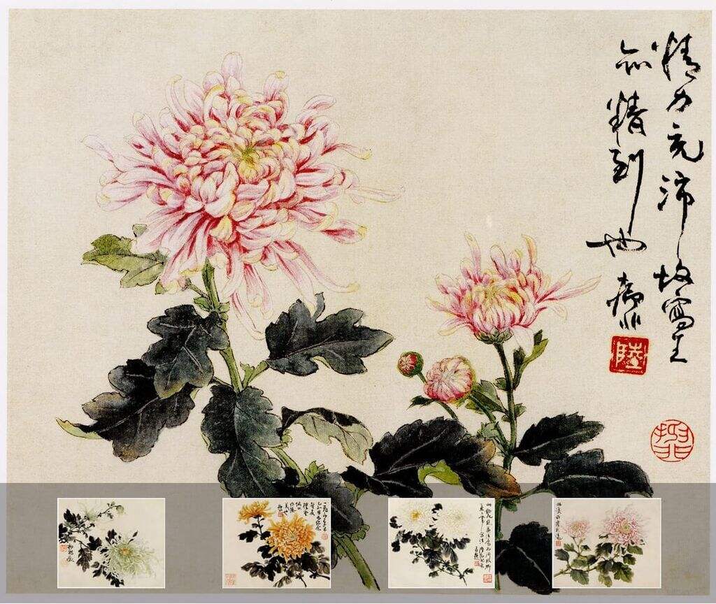 菊花课徒稿缩略图