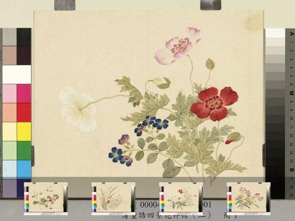 四景花卉（二）册缩略图