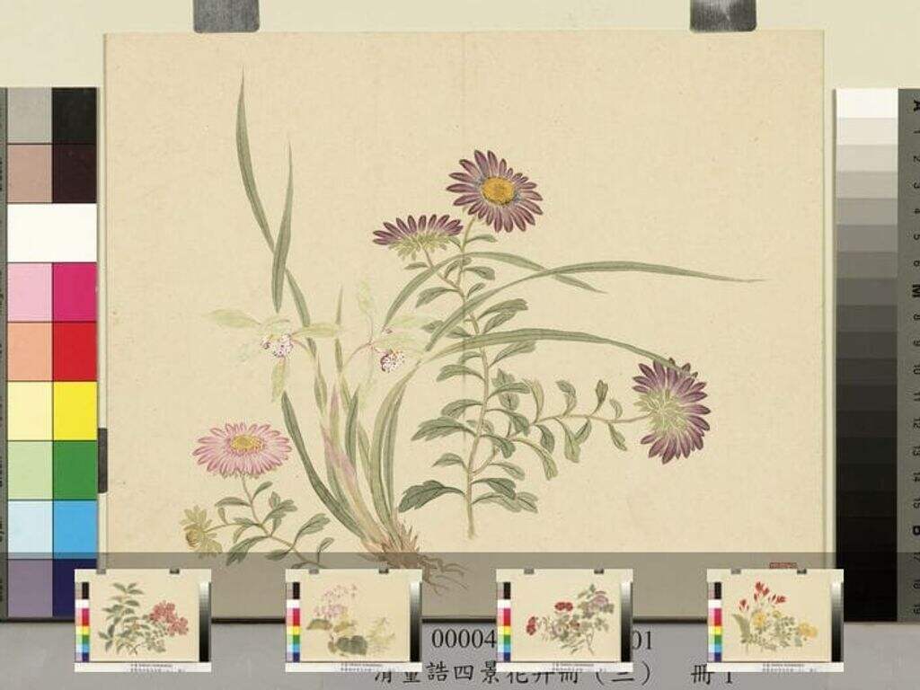四景花卉（三）册缩略图