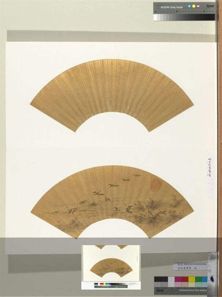 画鹭鹚册缩略图