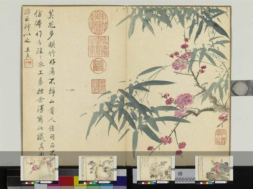 画花卉册缩略图