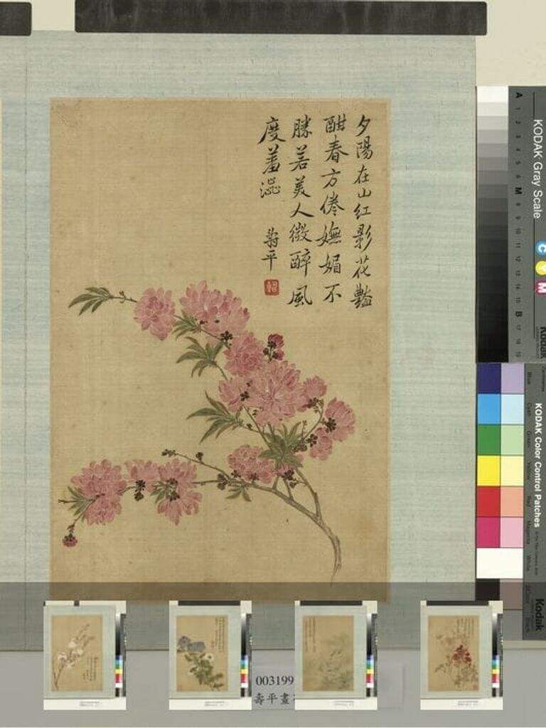 花卉册图缩略图
