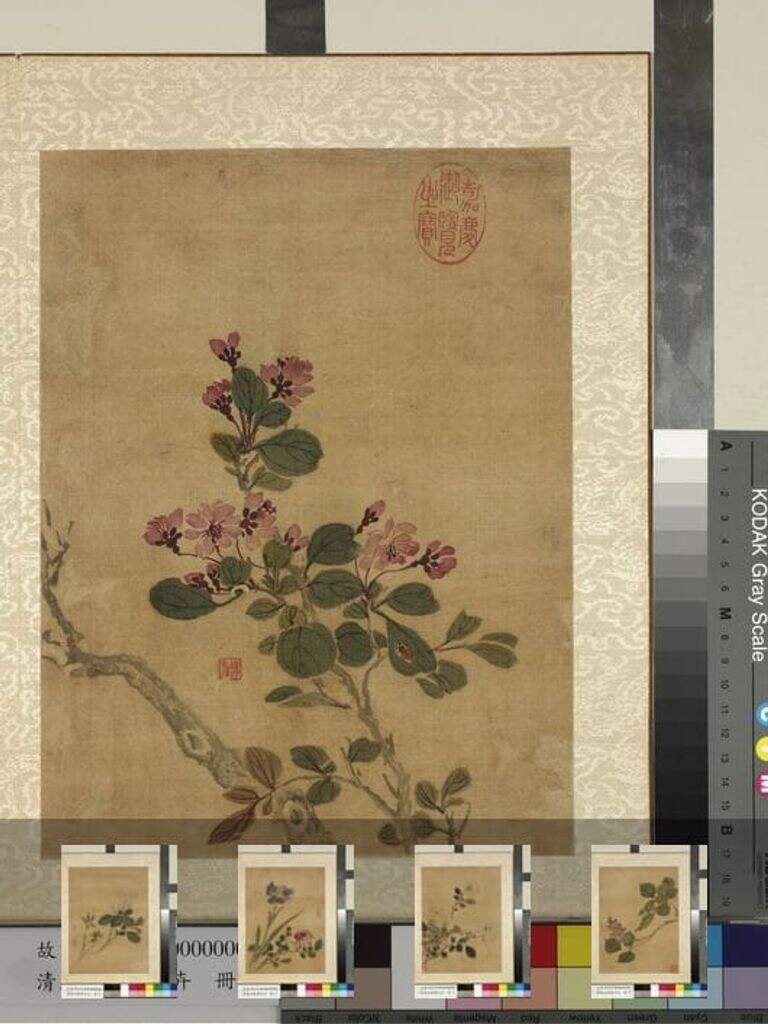 花卉图缩略图