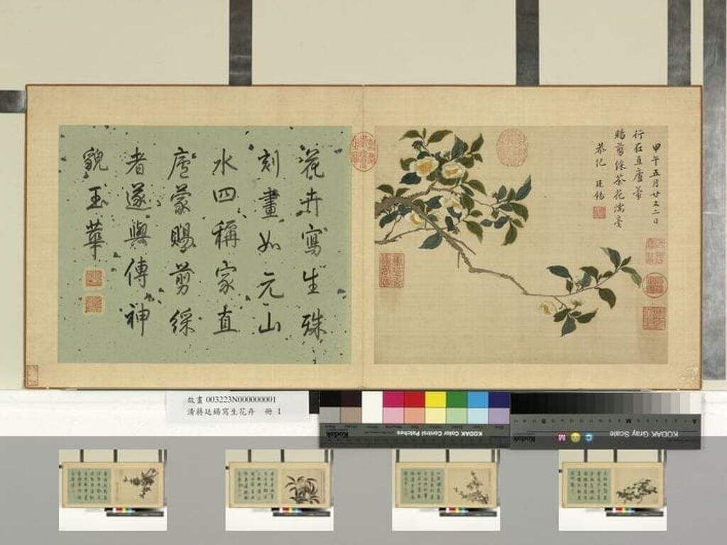 写生花卉册图缩略图