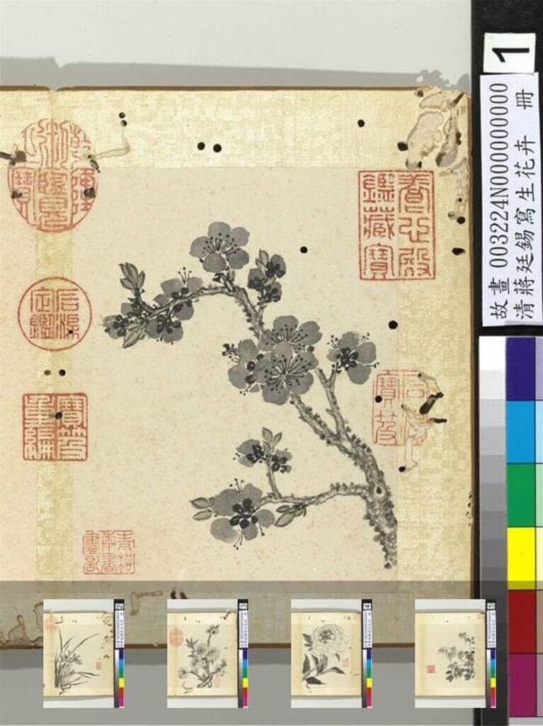 写生花卉图缩略图