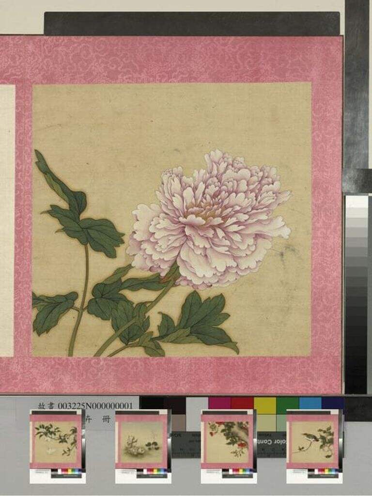 花卉册图缩略图