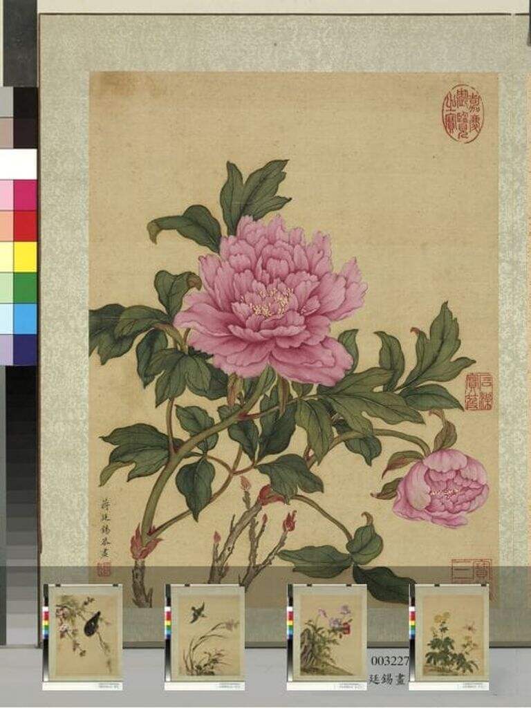 花鸟册图缩略图