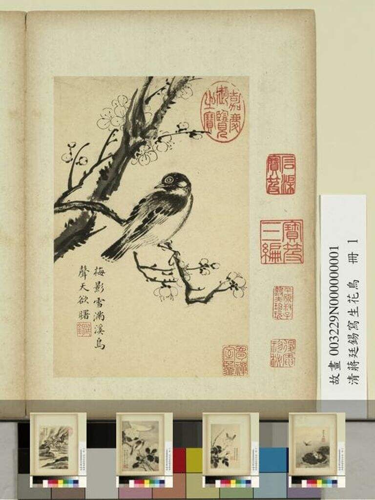 写生花鸟图缩略图