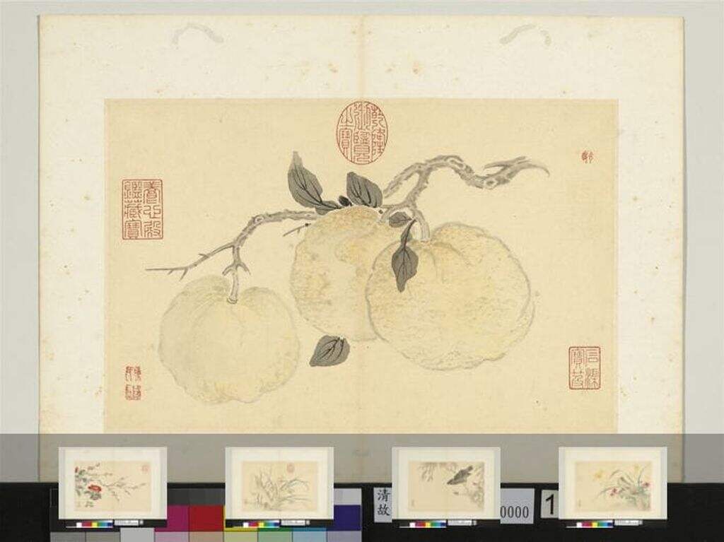 花卉册图缩略图