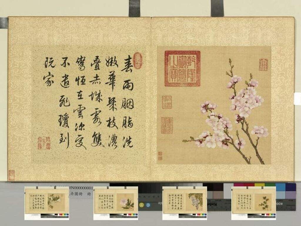花卉图册十二帧缩略图