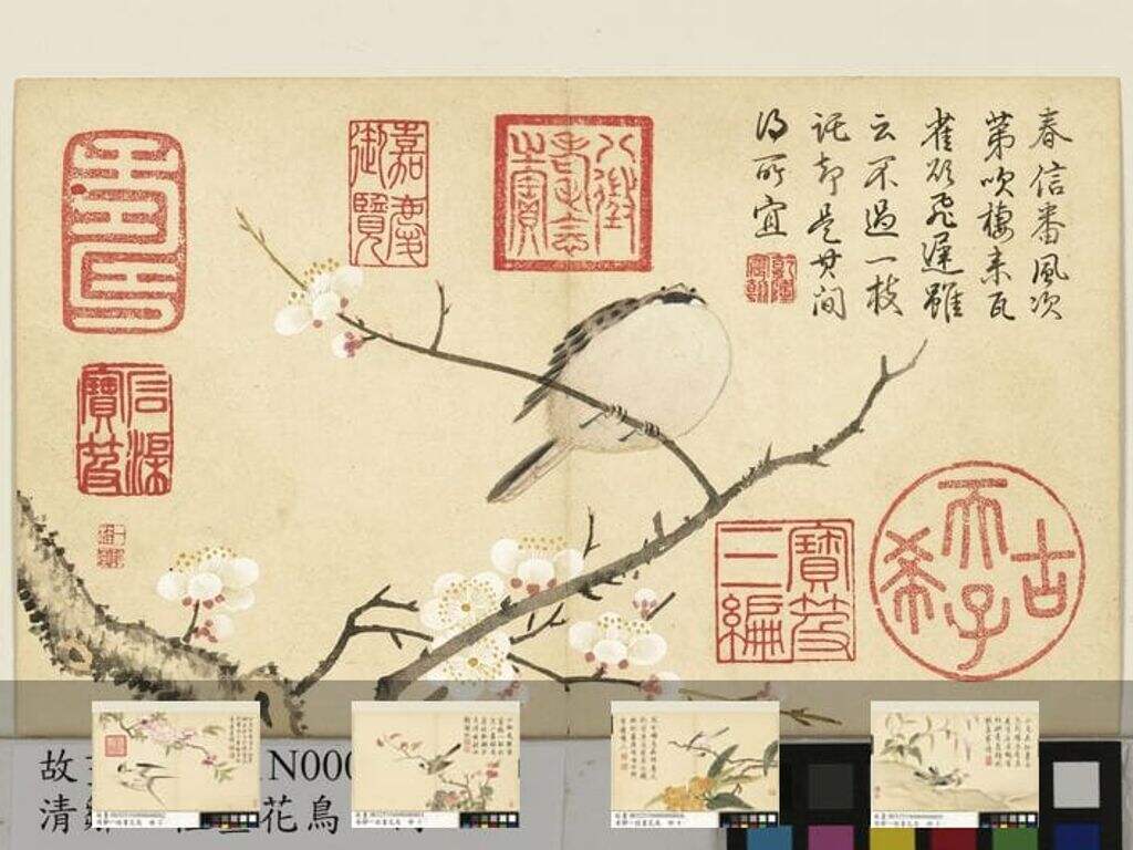 花鸟图册缩略图