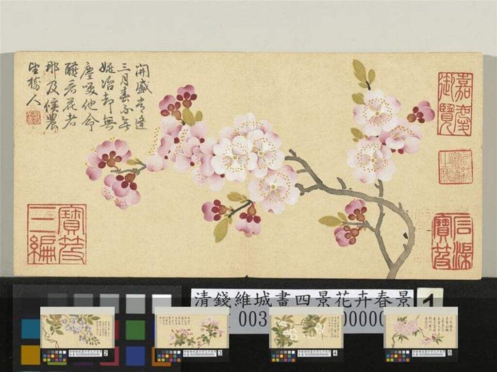 四景花卉春景缩略图
