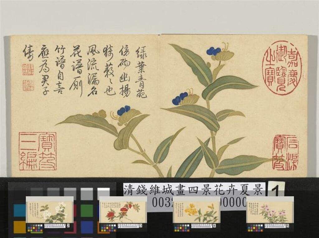 四景花卉夏景缩略图