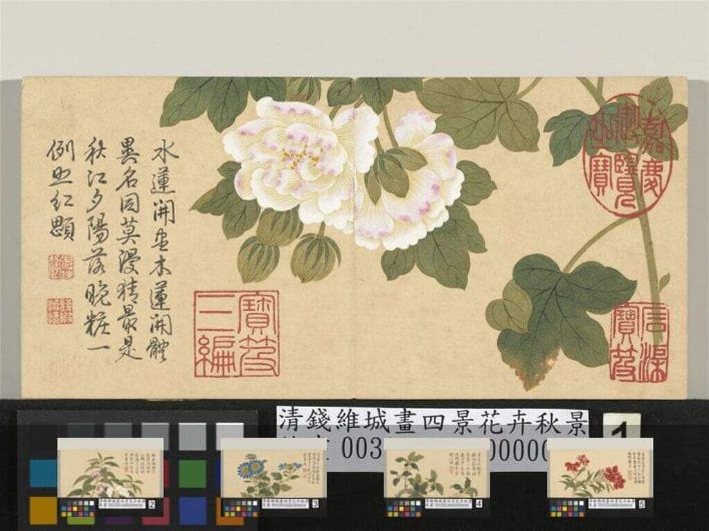 四景花卉秋景缩略图