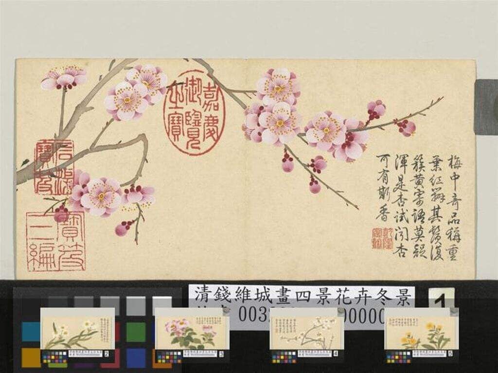四景花卉冬景缩略图