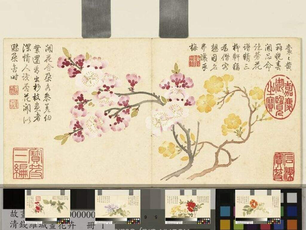 画花卉缩略图