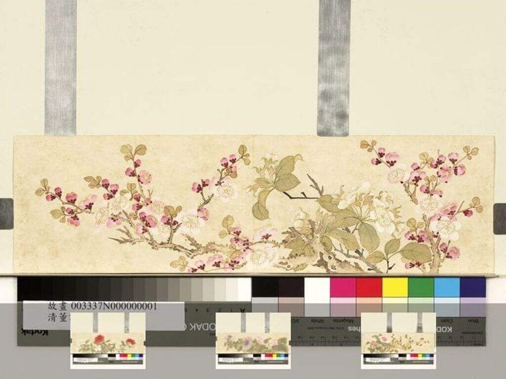 花卉册图缩略图