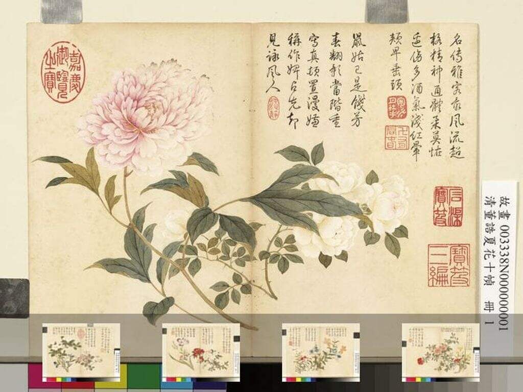 夏花十帧册图缩略图