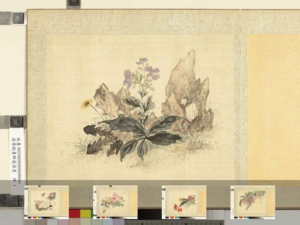 群蕤藻夏图册缩略图