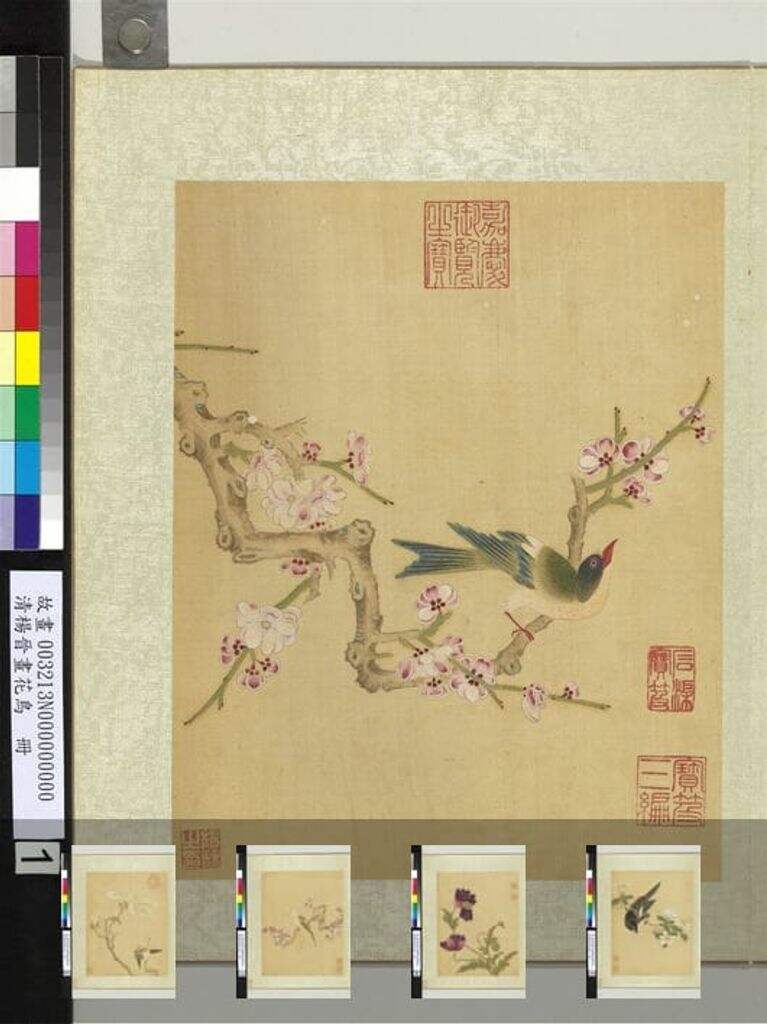 花鸟册图缩略图