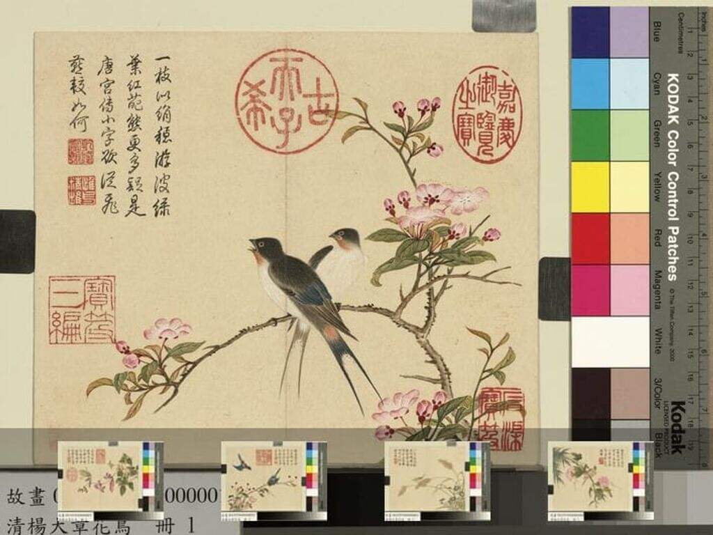 花鸟册图缩略图