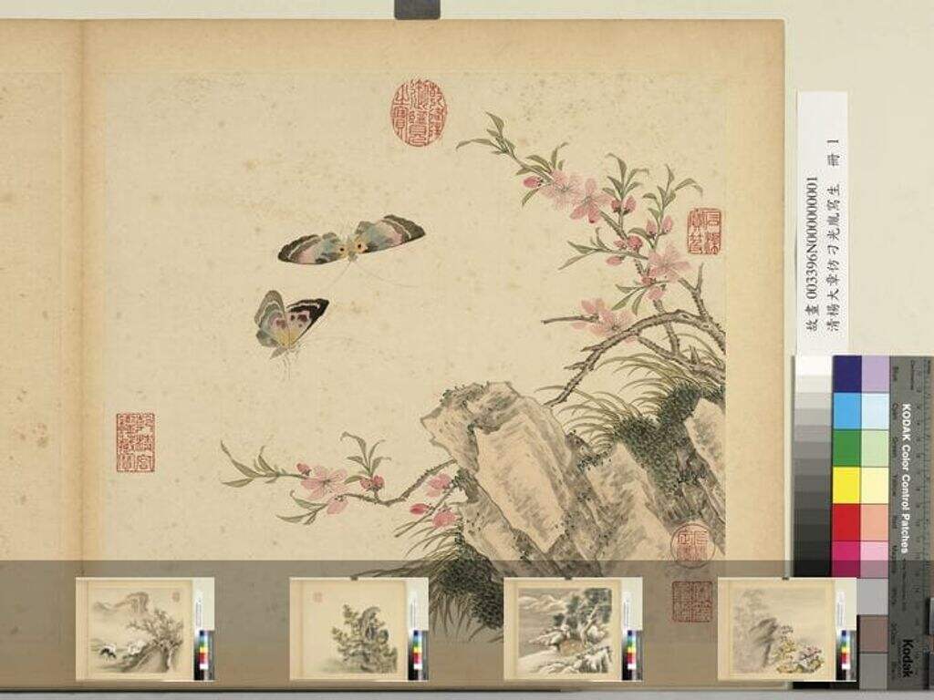 仿刁光胤写生册缩略图
