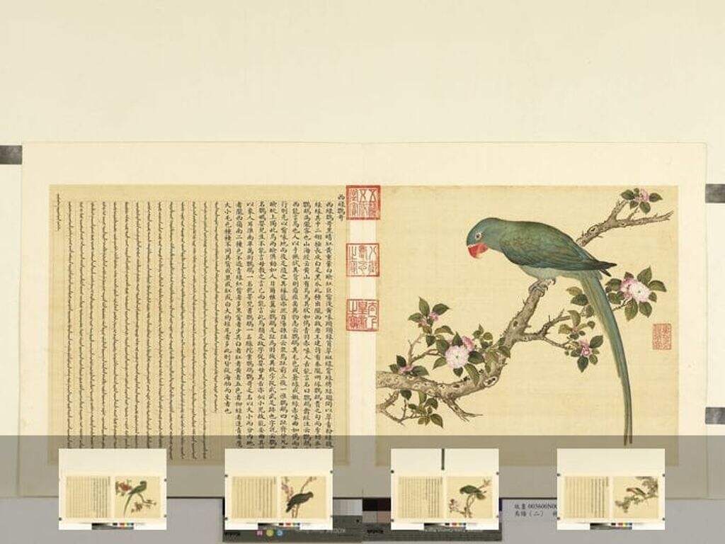 鸟谱（共十二册​​）缩略图