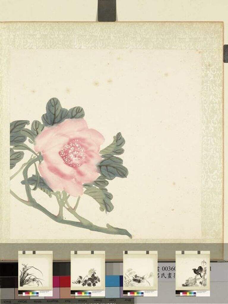 花鸟册图缩略图