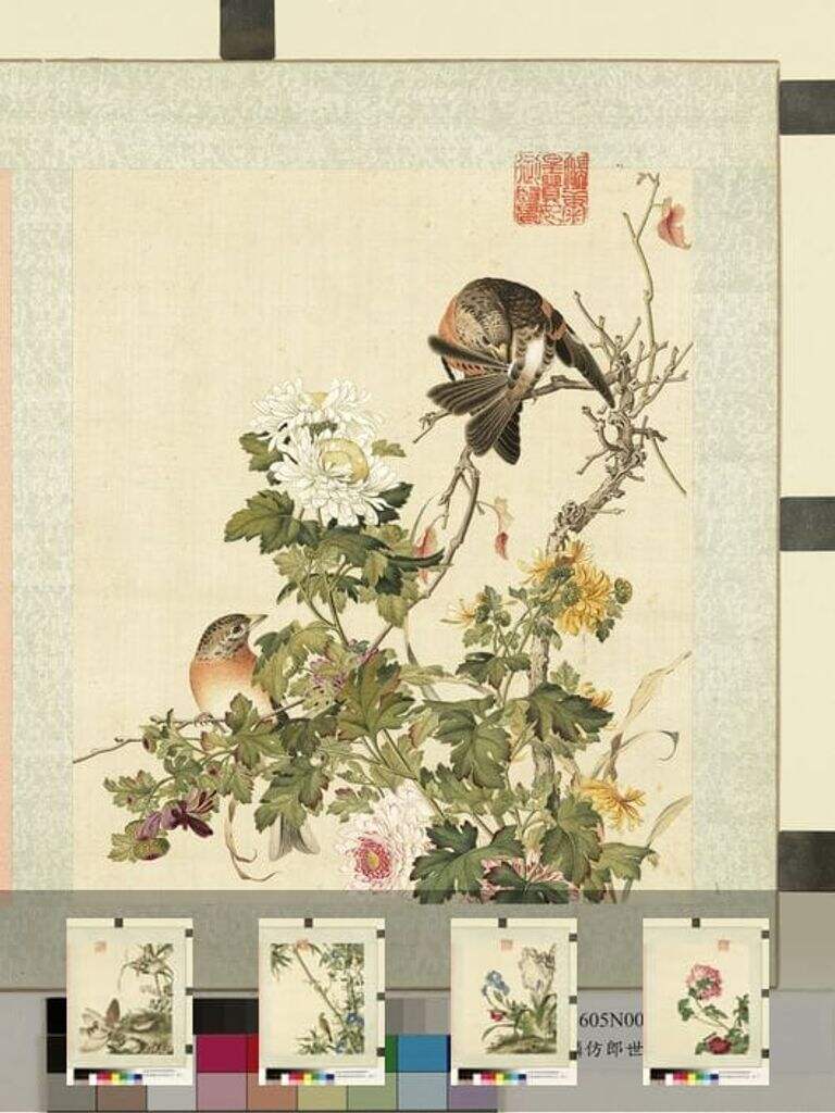 仿郎世宁花卉册图缩略图