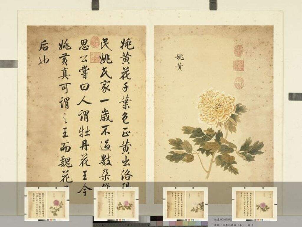 墨妙珠林册（未）缩略图