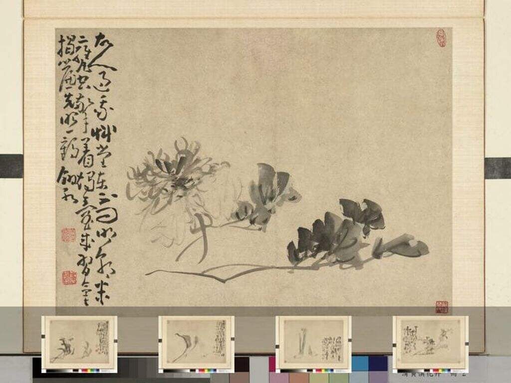 花卉图缩略图