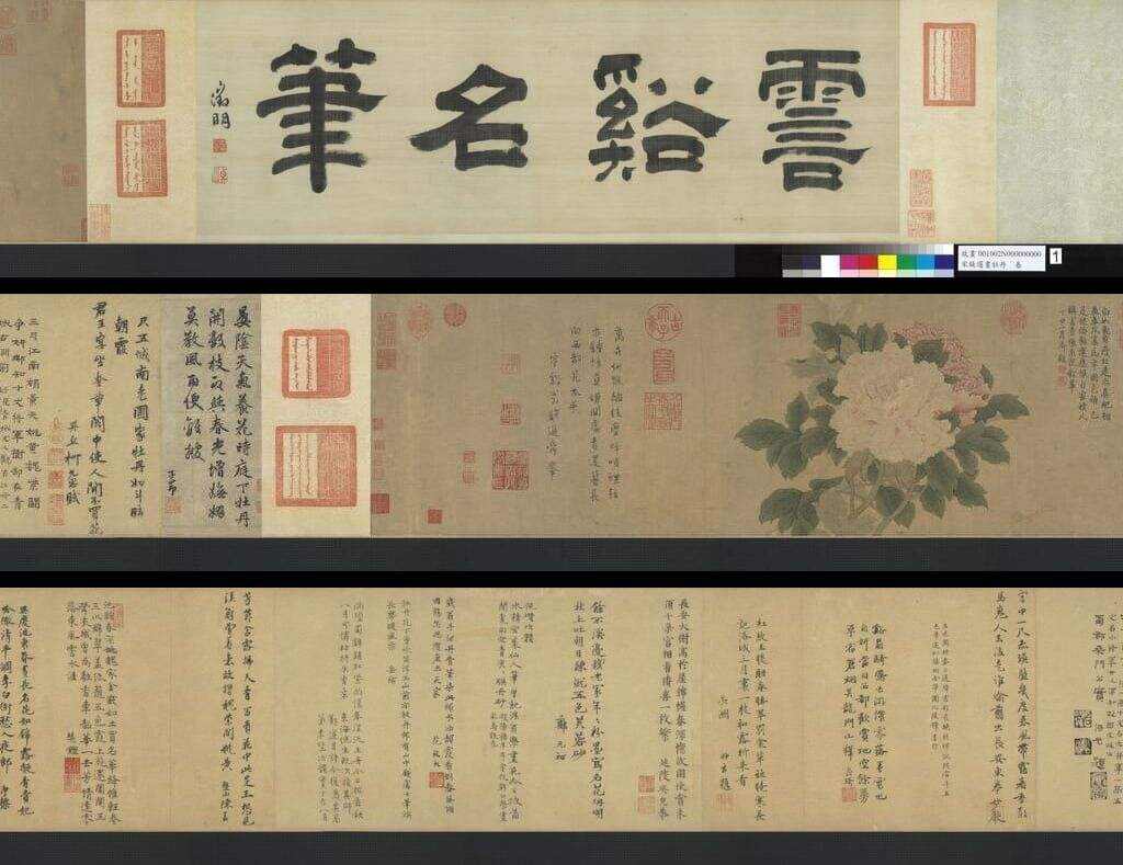 牡丹图缩略图