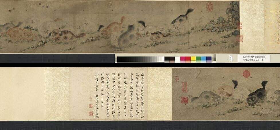 貍奴芳草图缩略图