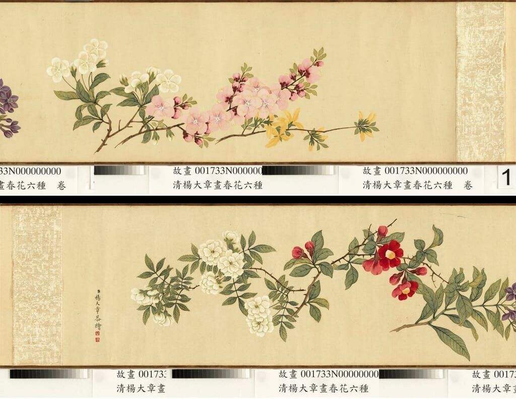 春花六种图缩略图