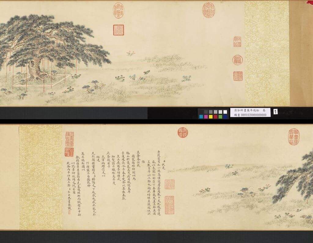 万年瑞松图缩略图